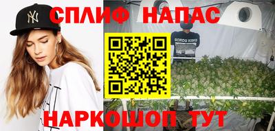mdpv Малоярославец