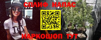 mdpv Малоярославец