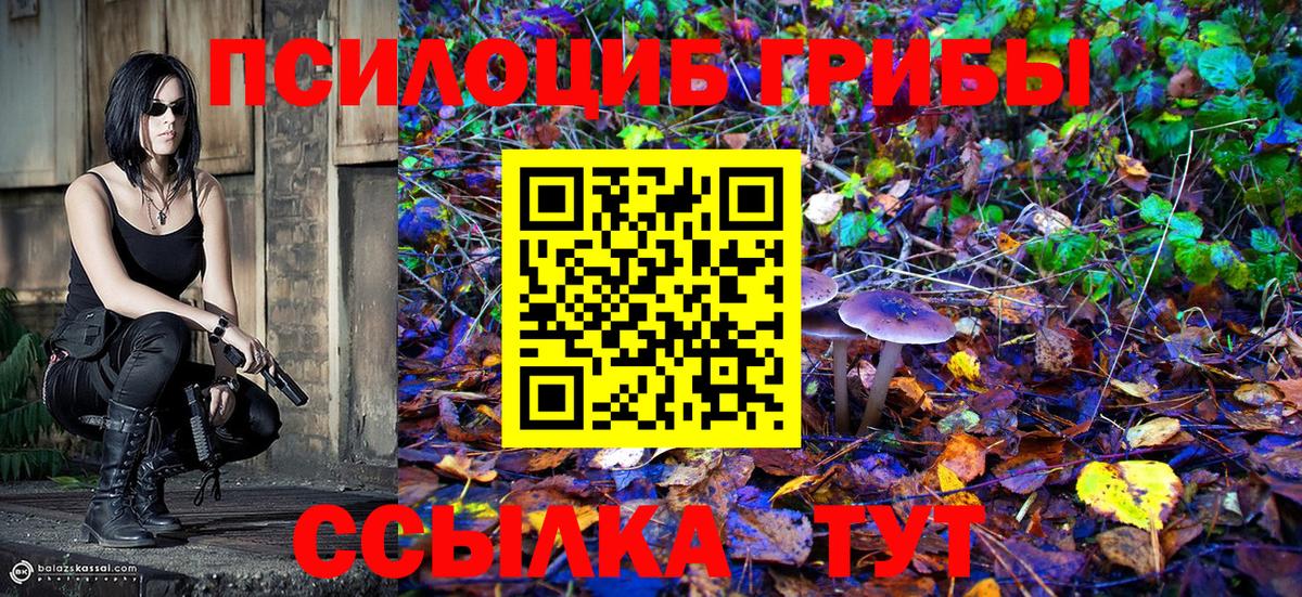 Галлюциногенные грибы ЛСД  продажа наркотиков  Галлюциногенные грибы Magic Shrooms  Волжский  Вход с VPN 
